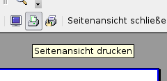 Symbol Seitenansicht drucken